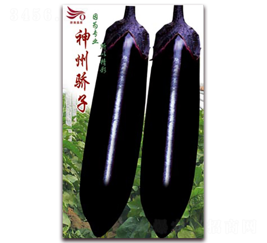 �������-���ӷN��-�ѹ��N�I