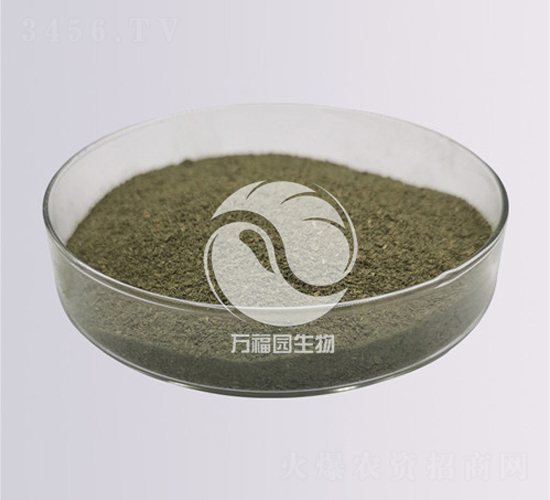 20�|�Gɫľù-�f���@����