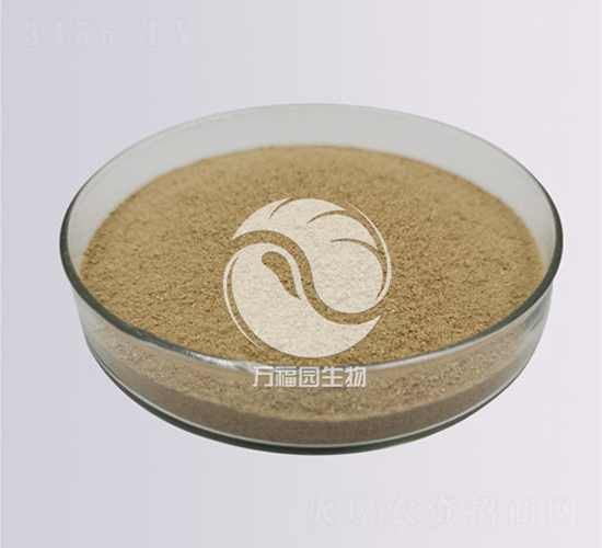 10�|����ù-�f���@����