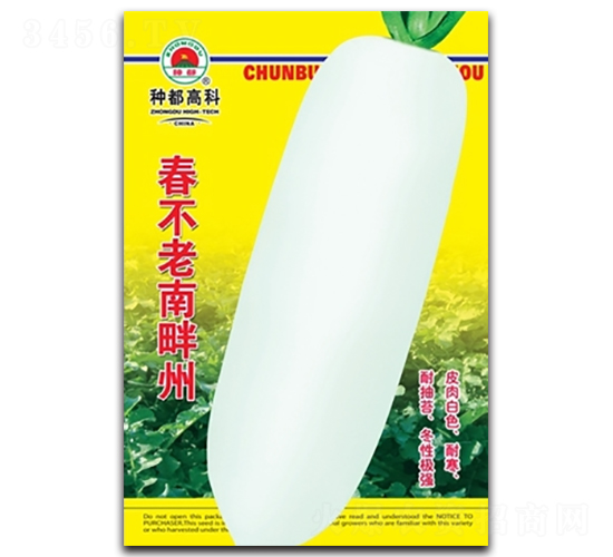 ������������-�}���N��-�߿ƷN�I