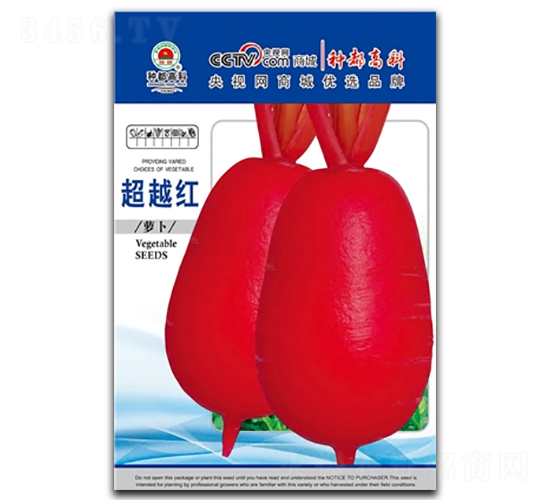 ��Խ�t-�t�}���N��-�߿ƷN�I