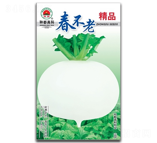 ������-�}���N��-�߿ƷN�I