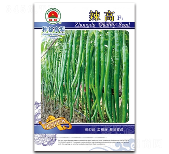 辣高-辣椒種子-高科種業