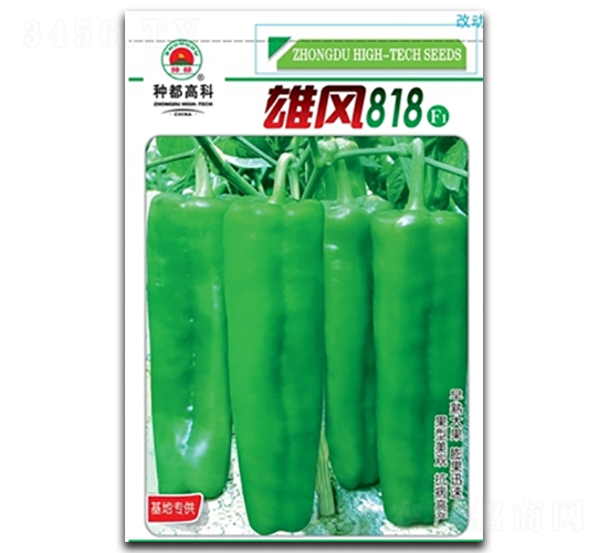 雄風818-辣椒種子-高科種業
