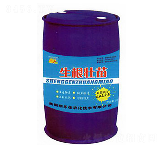 ���������-�|�r����