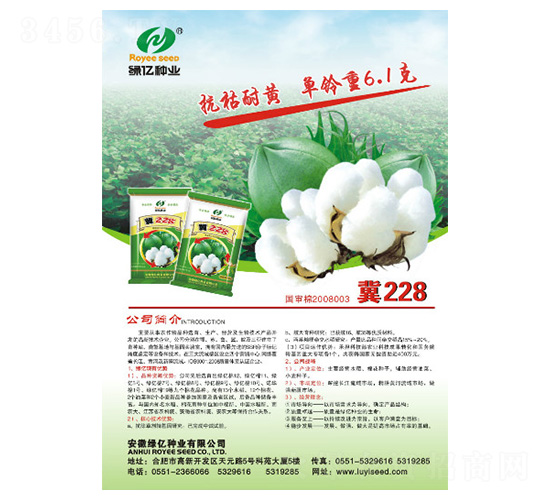 ��228-�G�|�N�I(y��)