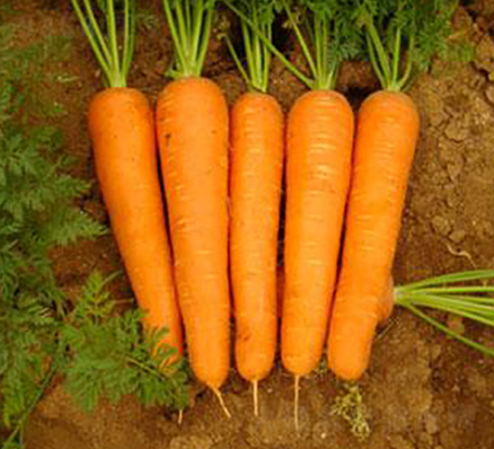 �紺100���}��-���}���N��-���\�N��