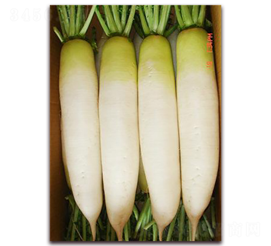 �����}��-�}���N��-���\�N��