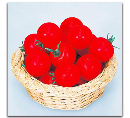 �t��С����-���ѷN��-���\�N��