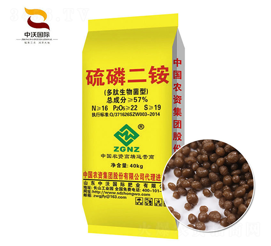 ���׶��@������������ͣ�-����