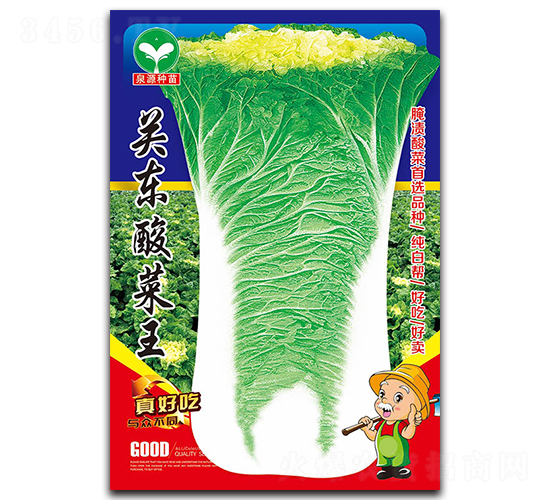 �P�|�����-�ײ˷N��-ȪԴ