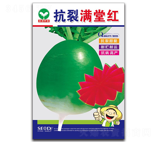 抗裂滿膛紅-蘿卜種子-泉源