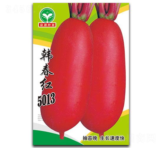 �n���t5013-�}���N��-ȪԴ