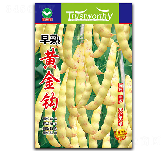 �����S���^-���ǷN��-ȪԴ