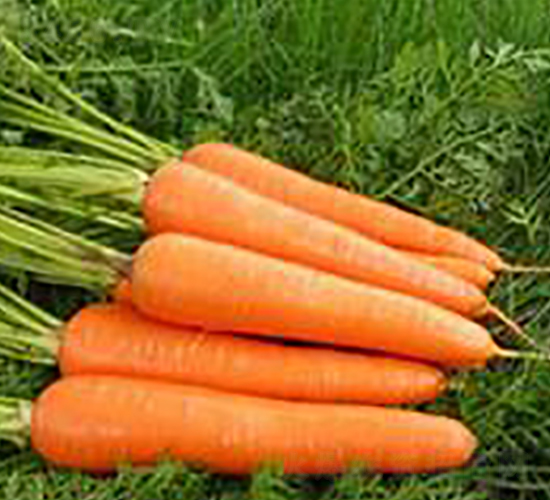 ����-���}���N��-���r�@ˇ