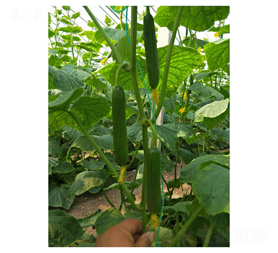 ˹�п�-ˮ���S�ϷN��-��V�r�I