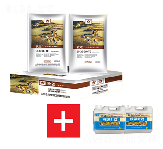 �Ѹ�����ײ�1+1-��������