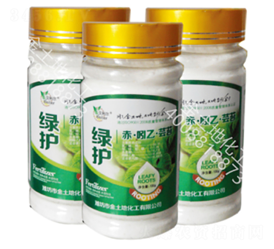 ֲ���{����-�G�o-������