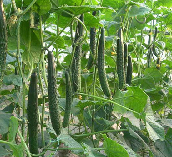 �S�ϷN��-��ϲ�r�I