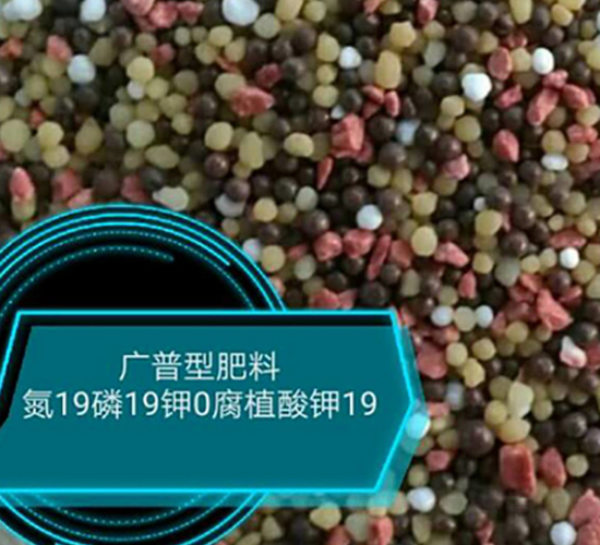 廣普型肥料19-19-0-悅農(nóng)農(nóng)業(yè)