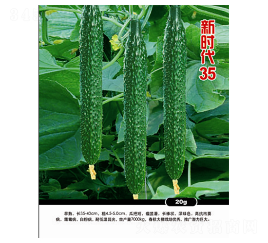 �r��35-�S�ϷN��-�r���f