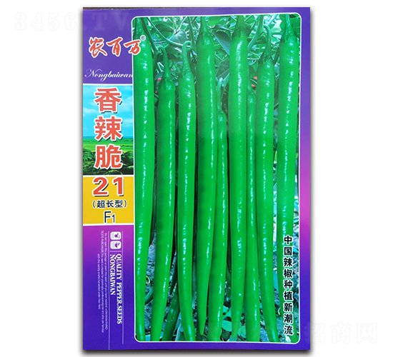 ������21̖-�����N��-�r���f