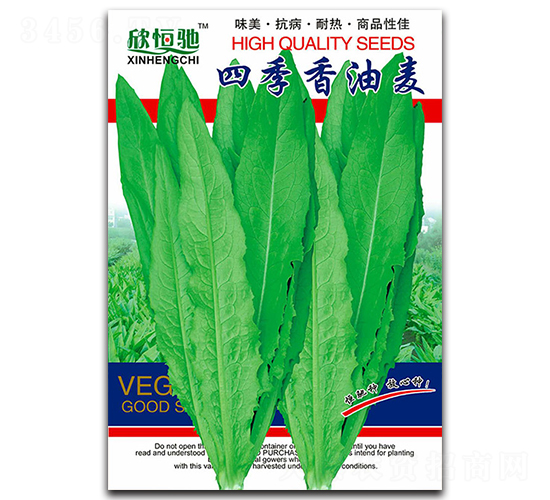 四季香油麥-油麥菜種子-恒馳種業