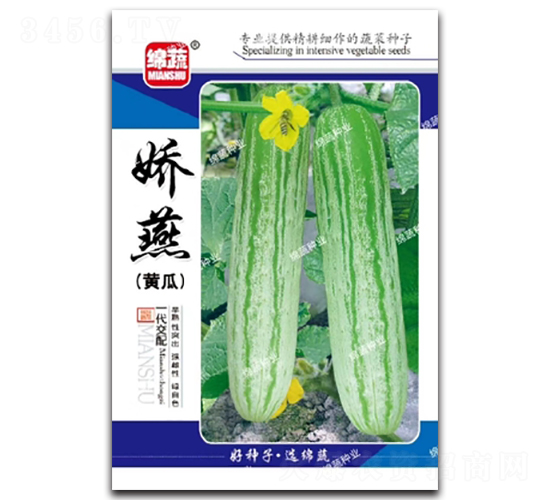 ����-�S�ϷN��-�d�߷N�I