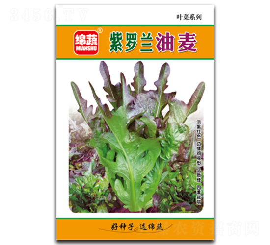 ���_�m����-�����˷N��-�d�߷N�I