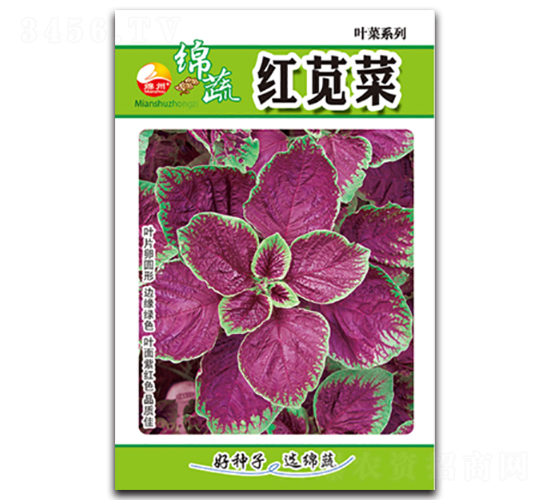 紅莧菜-紅莧菜種子-綿蔬種業(yè)