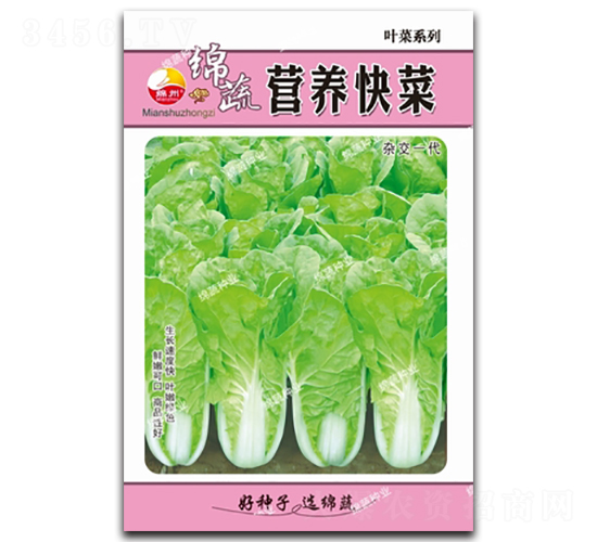 營(yíng)養(yǎng)快菜-青菜種子-綿蔬種業(yè)