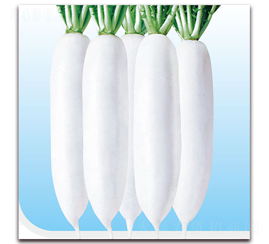 ������-�}���N��-��֮�W