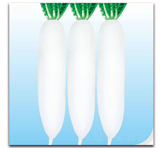 ����-�}���N��-��֮�W