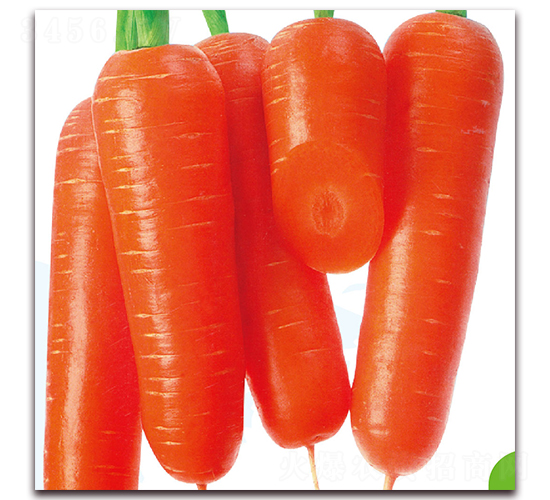 ����002-�}���N��-��֮�W