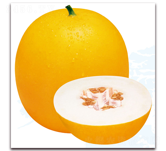 三雄5號-甜瓜種子-美之奧