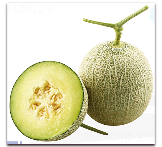 ���x-��ϷN��-��֮�W