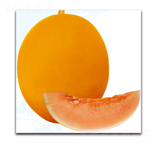 �{��-��ϷN��-��֮�W