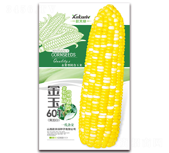 金玉601-甜糯玉米種子-歆天綠