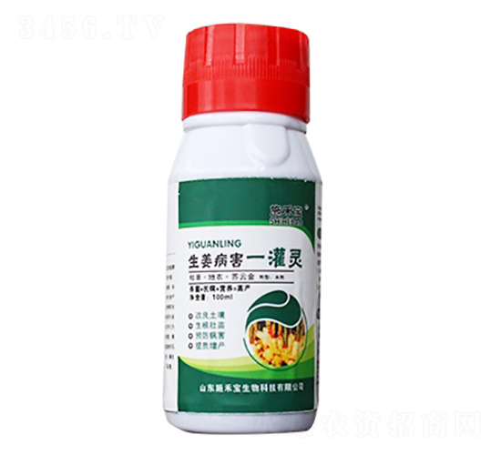 ��������һ���`-ʩ�̌�