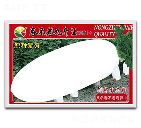 �����ϾŽ���-�}���N��-�r֮��