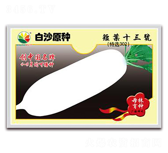 ���~ʮ��̖-�}���N��-�r֮��