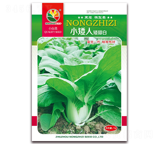 С����-���_�׷N��-�r֮��