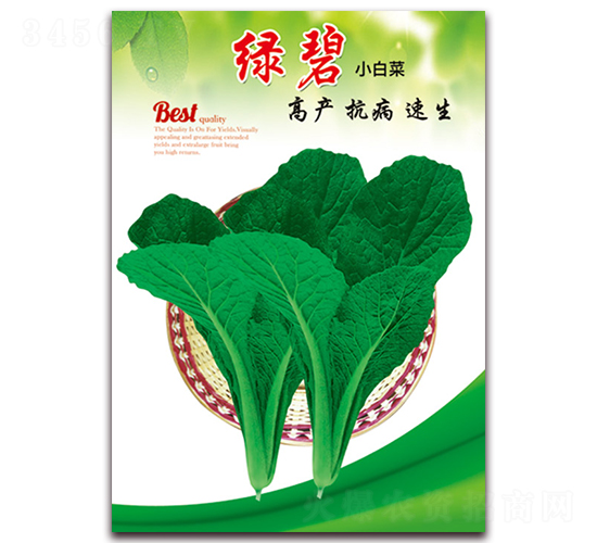 �G��-С�ײ˷N��-���ǷN�I