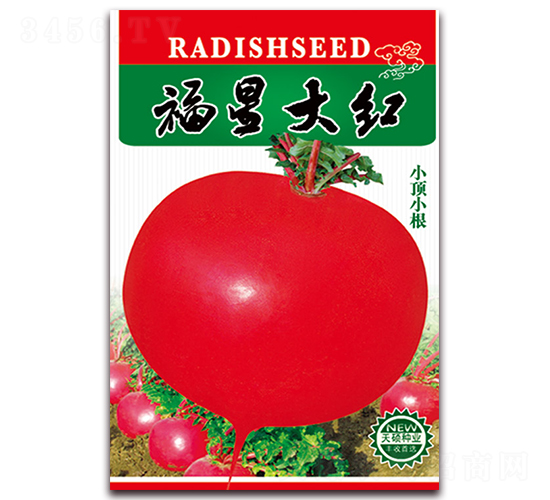 ���Ǵ�t-�}���N��-���ǷN�I