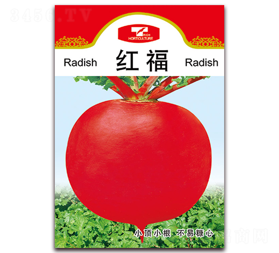 �t��-�}���N��-���ǷN�I(y��)