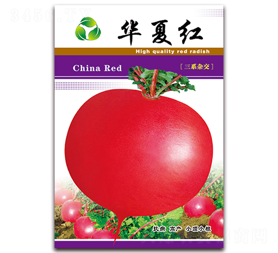 �A�ļt-�}���N��-���ǷN�I