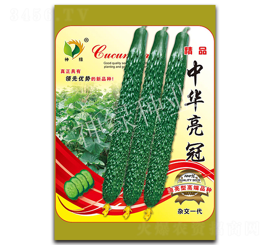 ���A����-�S�ϷN��-�A��N�I