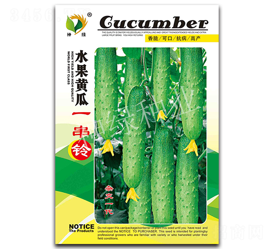 一串鈴-水果黃瓜種子-華益種業