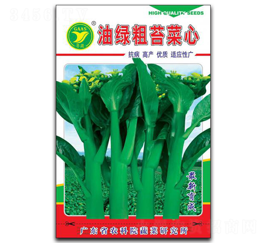 油綠粗苔菜心-菜心種子-科農