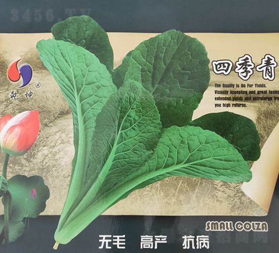 �ļ����-�ײ˷N��-Ǭ���N�I